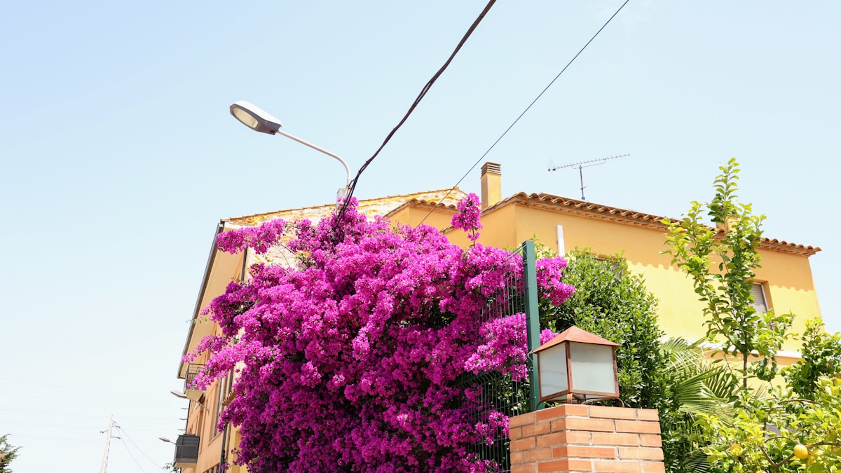 Bajar la factura de la luz: por qué tienes que empezar a pensar como una fábrica